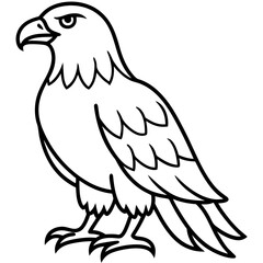 Minimalist Eagle Line Art Vector