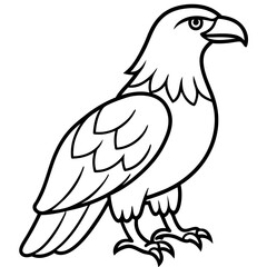 Minimalist Eagle Line Art Vector