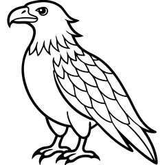 Minimalist Eagle Line Art Vector