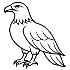 Minimalist Eagle Line Art Vector