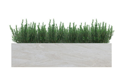 small green grass bush for landscape elements isolated on white