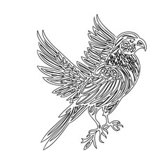 Stylized Flying Hawk Line Art Illustration