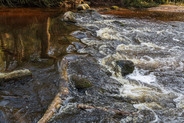 A flowing creek with clear brownish water cascades over the stones with reflection of trees
