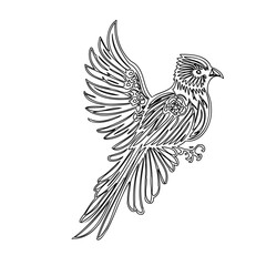 Obraz premium Detailed Bird in Flight Line Art Illustration