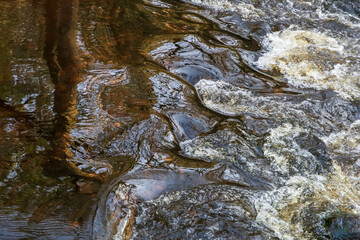 A flowing creek with clear brownish water cascades over the stones with reflection of trees
