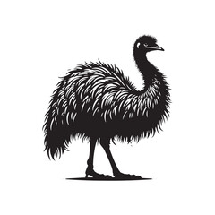 Emu Silhouette - Emu minimal vector - Emu Black and White design - Emu Illustration.