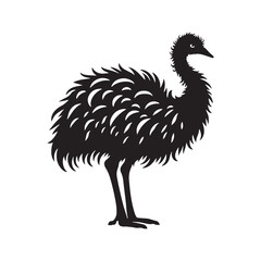 Emu Silhouette - Emu minimal vector - Emu Black and White design - Emu Illustration.