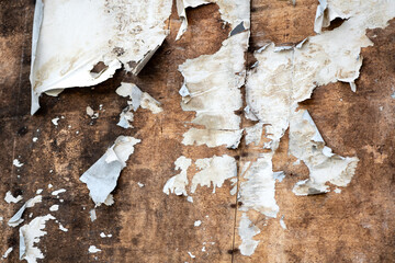 Torn-off remains of advertisment posters on the wooden base plate of a billboard. White-greyish fragments of paper with traces of weathering and ageing form filigree structures in earthy tones. 