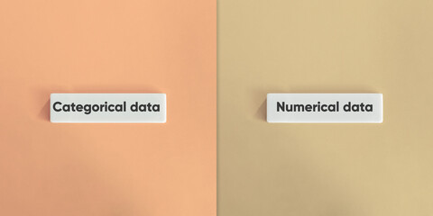 Categorical versus Numerical Data Banner.