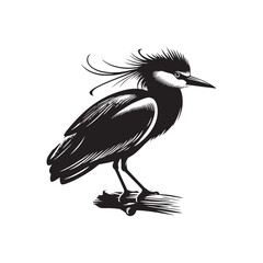 Black-crowned night heron Silhouette - Vector of Black-crowned night heron - Minimal Black-crowned night heron Illustration.