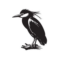 Fototapeta premium Black-crowned night heron Silhouette - Vector of Black-crowned night heron - Minimal Black-crowned night heron Illustration.