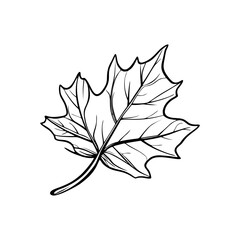 Withering Petal Fall.eps