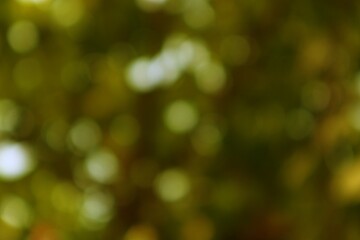 Abstract Green Bokeh Background Texture Blurred Lights