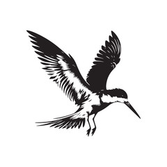 Black skimmer Silhouette - Black skimmer Art - Minimal Black skimmer Vector - Black skimmer illustration.