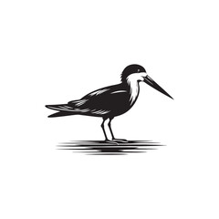 Black skimmer Silhouette - Black skimmer Art - Minimal Black skimmer Vector - Black skimmer illustration.