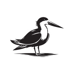 Black skimmer Silhouette - Black skimmer Art - Minimal Black skimmer Vector - Black skimmer illustration.