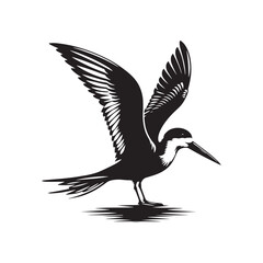 Black skimmer Silhouette - Black skimmer Art - Minimal Black skimmer Vector - Black skimmer illustration.