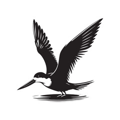Black skimmer Silhouette - Black skimmer Art - Minimal Black skimmer Vector - Black skimmer illustration.