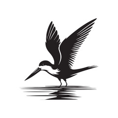 Black skimmer Silhouette - Black skimmer Art - Minimal Black skimmer Vector - Black skimmer illustration.