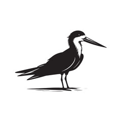 Black skimmer Silhouette - Black skimmer Art - Minimal Black skimmer Vector - Black skimmer illustration.
