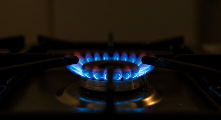 Gas stove with vibrant blue flames in low light, home appliance energy.