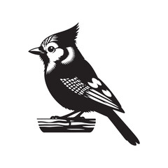 Minimalist Blue Jay Bird Silhouette - Vector of Blue jay bird - Blue jay Illustration - Blue jay black and white design.