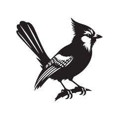 Minimalist Blue Jay Bird Silhouette - Vector of Blue jay bird - Blue jay Illustration - Blue jay black and white design.