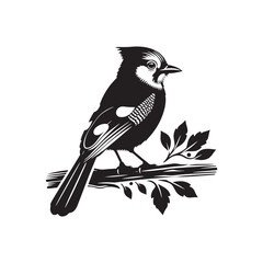 Minimalist Blue Jay Bird Silhouette - Vector of Blue jay bird - Blue jay Illustration - Blue jay black and white design.