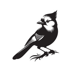 Minimalist Blue Jay Bird Silhouette - Vector of Blue jay bird - Blue jay Illustration - Blue jay black and white design.