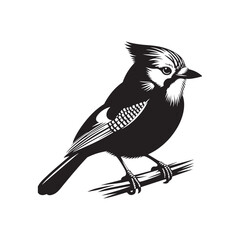 Minimalist Blue Jay Bird Silhouette - Vector of Blue jay bird - Blue jay Illustration - Blue jay black and white design.