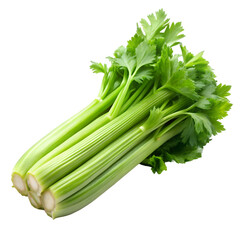 Celery vegetable isolated on white background