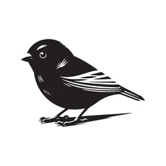 Dark-eyed junco Vector Silhouette - Black and White  Dark-eyed junco Illustration - Dark-eyed junco bird art.
