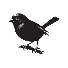 Dark-eyed junco Vector Silhouette - Black and White  Dark-eyed junco Illustration - Dark-eyed junco bird art.