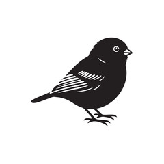 Dark-eyed junco Vector Silhouette - Black and White  Dark-eyed junco Illustration - Dark-eyed junco bird art.