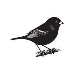 Dark-eyed junco Vector Silhouette - Black and White  Dark-eyed junco Illustration - Dark-eyed junco bird art.