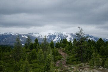 A trail in the highlands