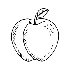 apple icon, apple vector illustration-simple illustration of apple, perfect for apple logos and icons