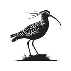 Curlew Silhouette - Minimalist Curlew Vector - Curlew Illustration - Black and White Curlew Bird Design.