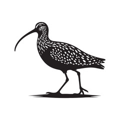 Obraz premium Curlew Silhouette - Minimalist Curlew Vector - Curlew Illustration - Black and White Curlew Bird Design.