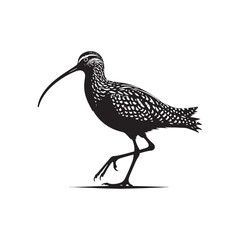 Curlew Silhouette - Minimalist Curlew Vector - Curlew Illustration - Black and White Curlew Bird Design.
