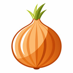 Onion isolated  on white background 