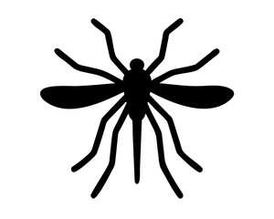 black Mosquito isolated on white background