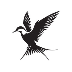 Common tern minimal Silhouette - Common tern Vector - Illustration of Common tern.