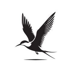 Common tern minimal Silhouette - Common tern Vector - Illustration of Common tern.