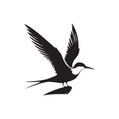 Common tern minimal Silhouette - Common tern Vector - Illustration of Common tern.