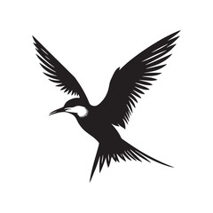 Common tern minimal Silhouette - Common tern Vector - Illustration of Common tern.