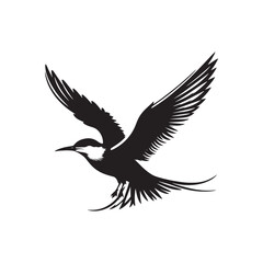 Common tern minimal Silhouette - Common tern Vector - Illustration of Common tern.
