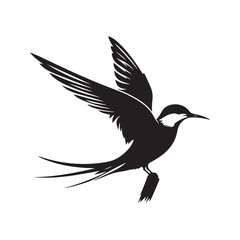 Common tern minimal Silhouette - Common tern Vector - Illustration of Common tern.
