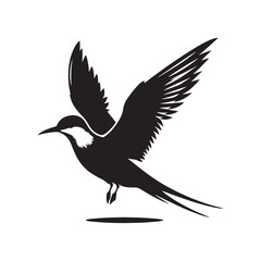 Common tern minimal Silhouette - Common tern Vector - Illustration of Common tern.