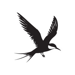 Obraz premium Common tern minimal Silhouette - Common tern Vector - Illustration of Common tern.